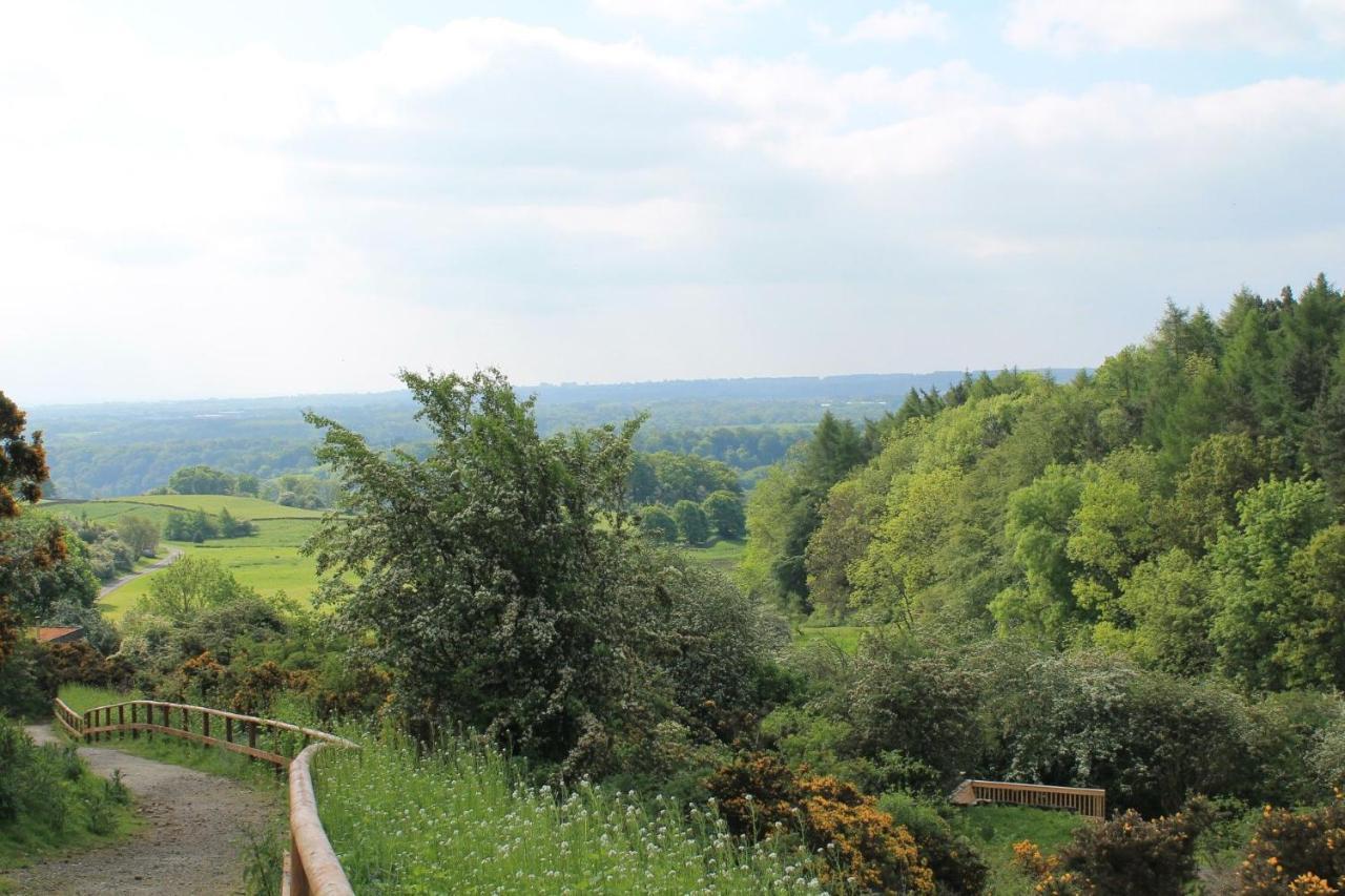 Yorkshire Dales Lodge 4 Family 3 Bed ريتشموند المظهر الخارجي الصورة
